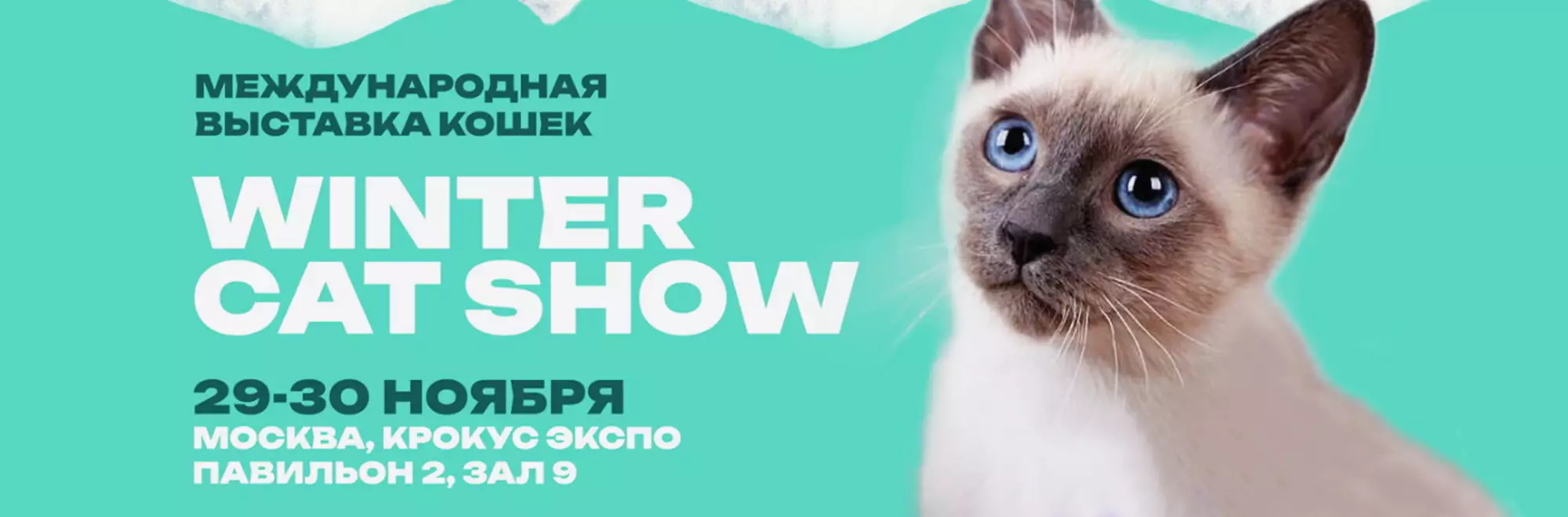 Выставка кошек Winter Cat Show 2025 29 и 30 ноября Выставка кошек Winter Cat Show 2025 29 и 30 ноября