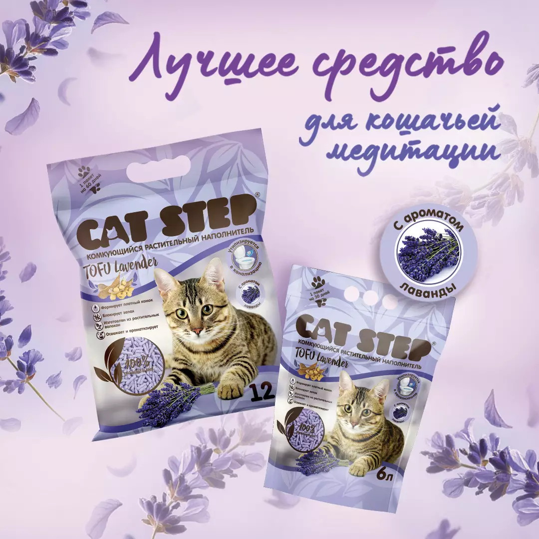 Встречайте новинку CAT STEP Tofu Lavender! Встречайте новинку CAT STEP Tofu Lavender!