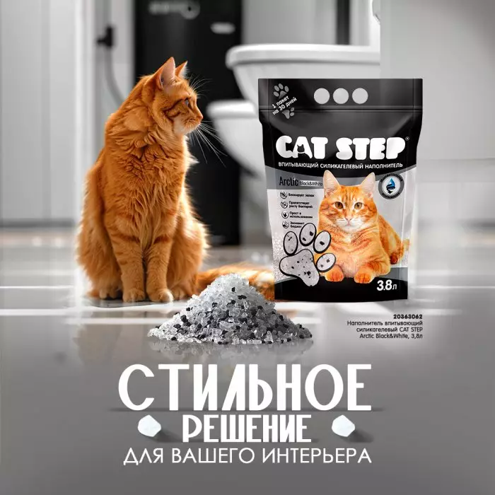 Безупречность стиля от CAT STEP