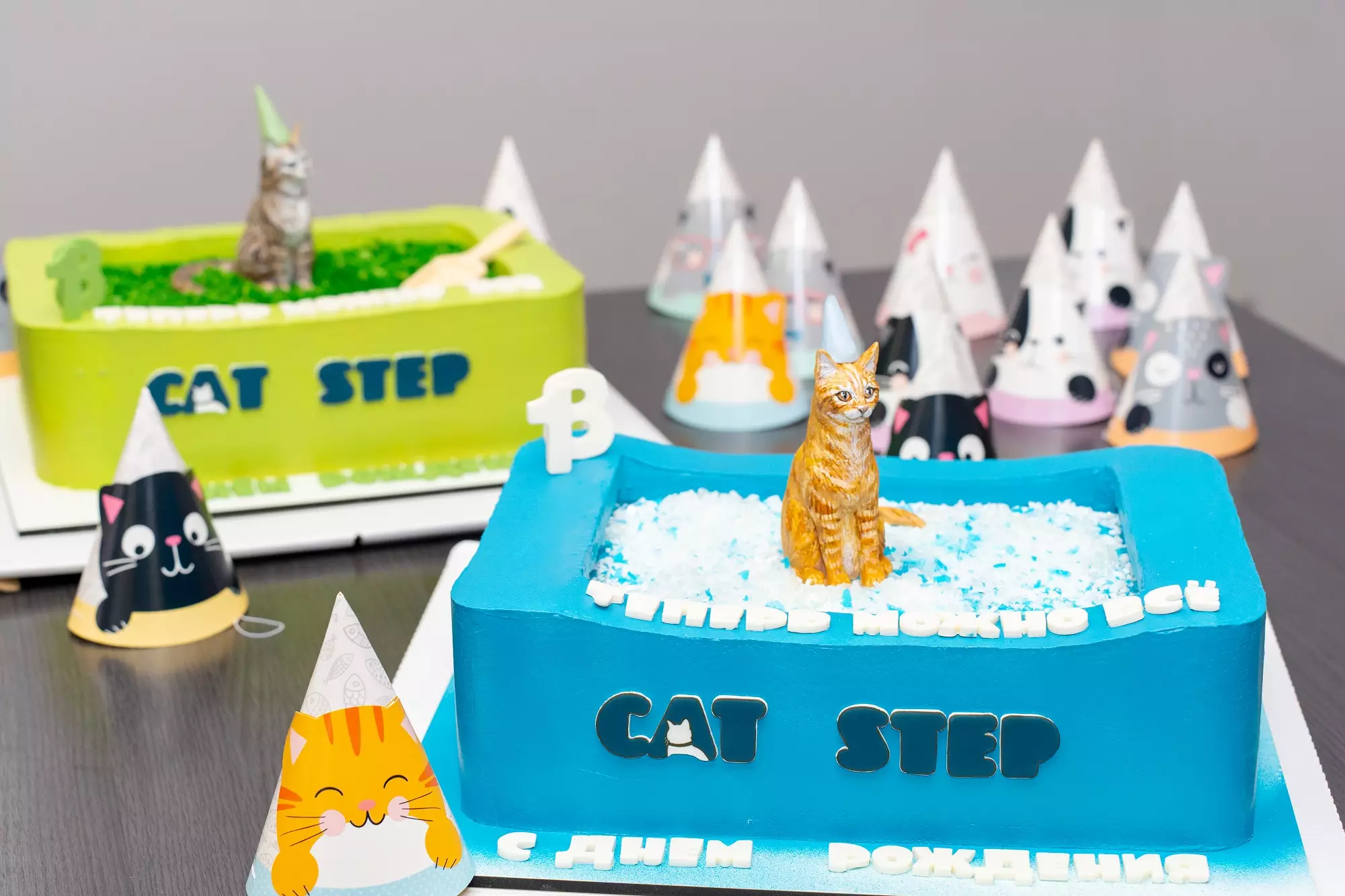 Бренду CAT STEP исполнилось 18 лет! Бренду CAT STEP исполнилось 18 лет!